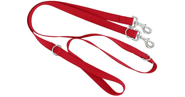 Double fashion nylon dog leash